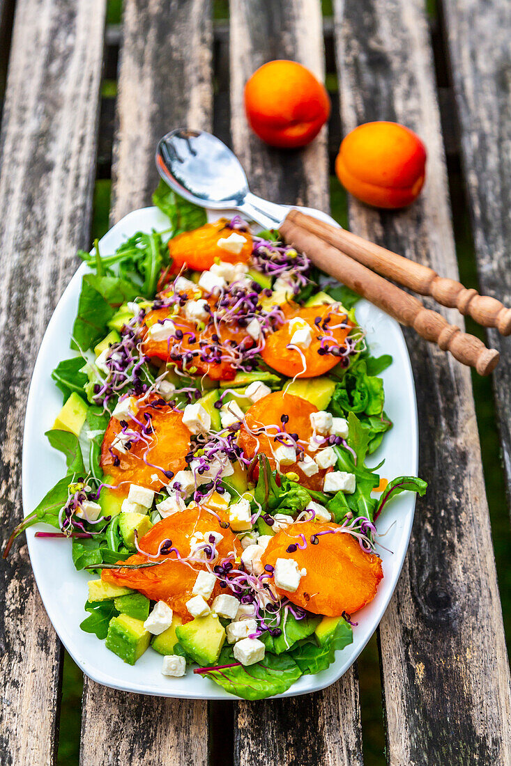 Green salad with fried apricots, avocado, feta cheese and radish sprouts