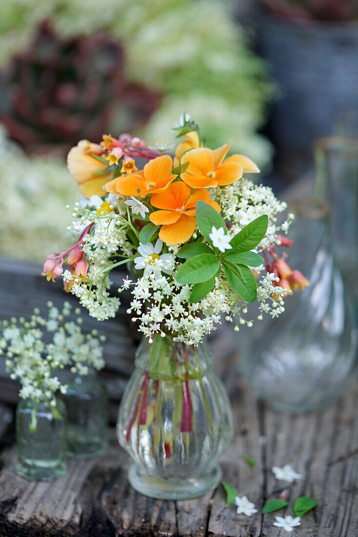 Sträusschen aus Hornveilchen und Holunderblüten