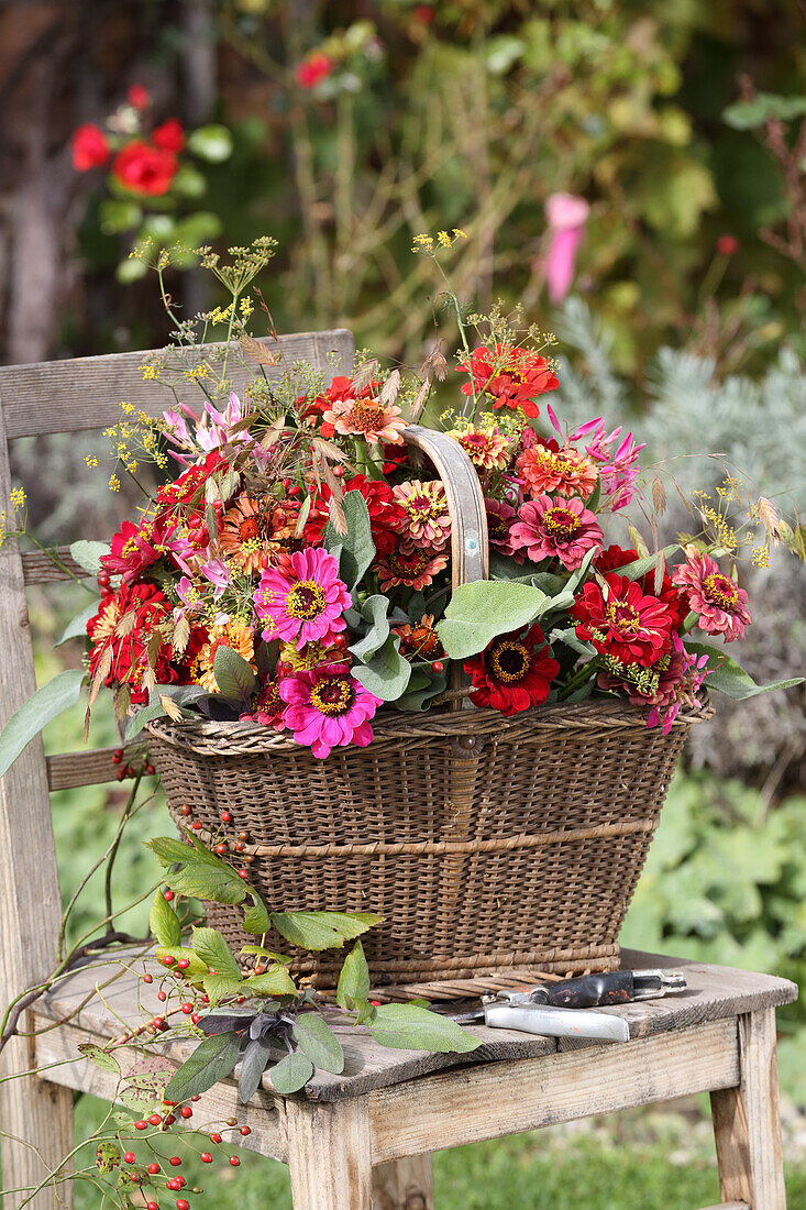 Zinninenstrauß mit Spinnenblumen und Gräsern, Wildem Fenchel, Salbei und Hagebutten im Korb