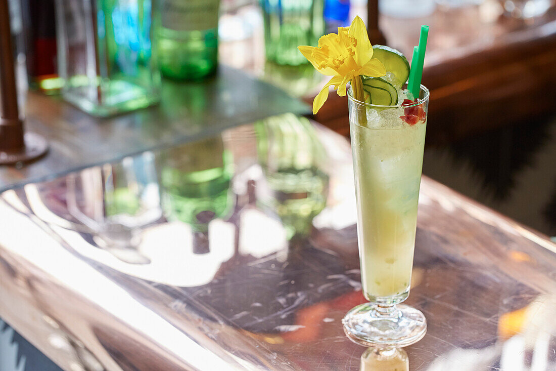 Grüner Cocktail, garniert mit Gurke und Narzissenblüte