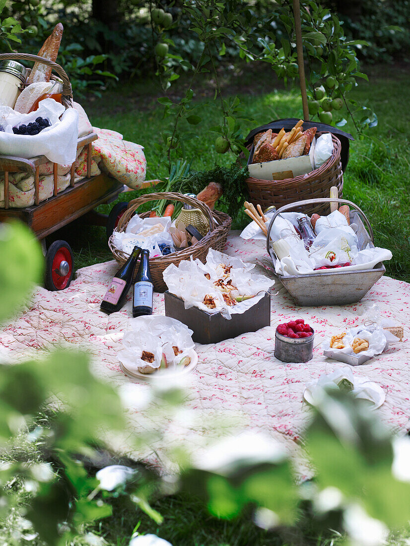 Picnic blanket with various baskets