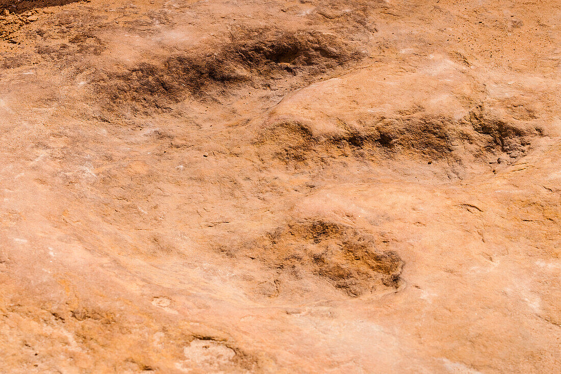 Allosaurus dinosaur track, San Rafael Swell, Utah, USA