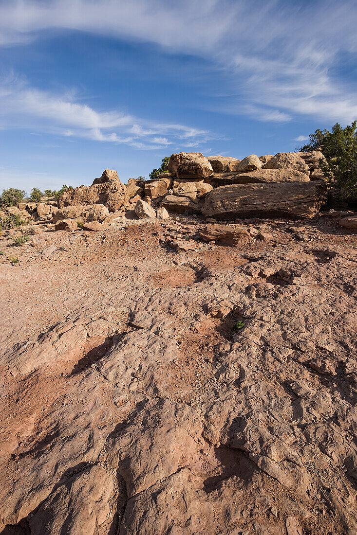 Camarasaurus dinosaur tracks, Moab, Utah, USA