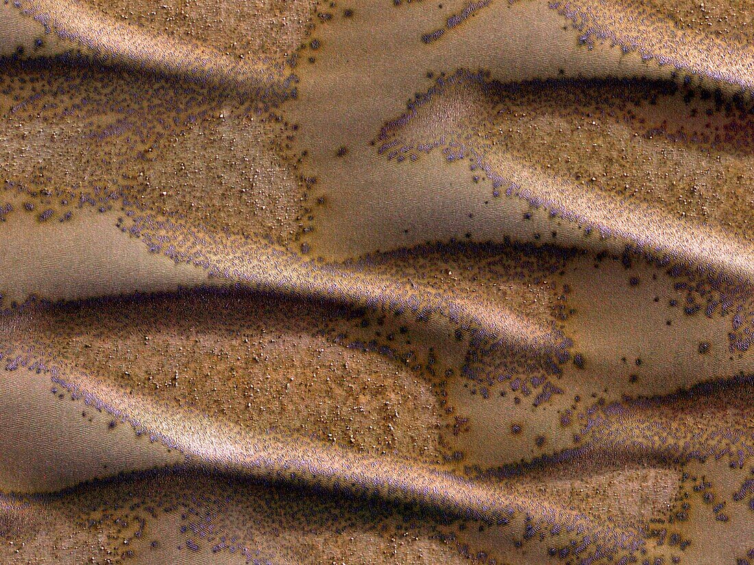 Frosted sand dunes on Mars, MRO image