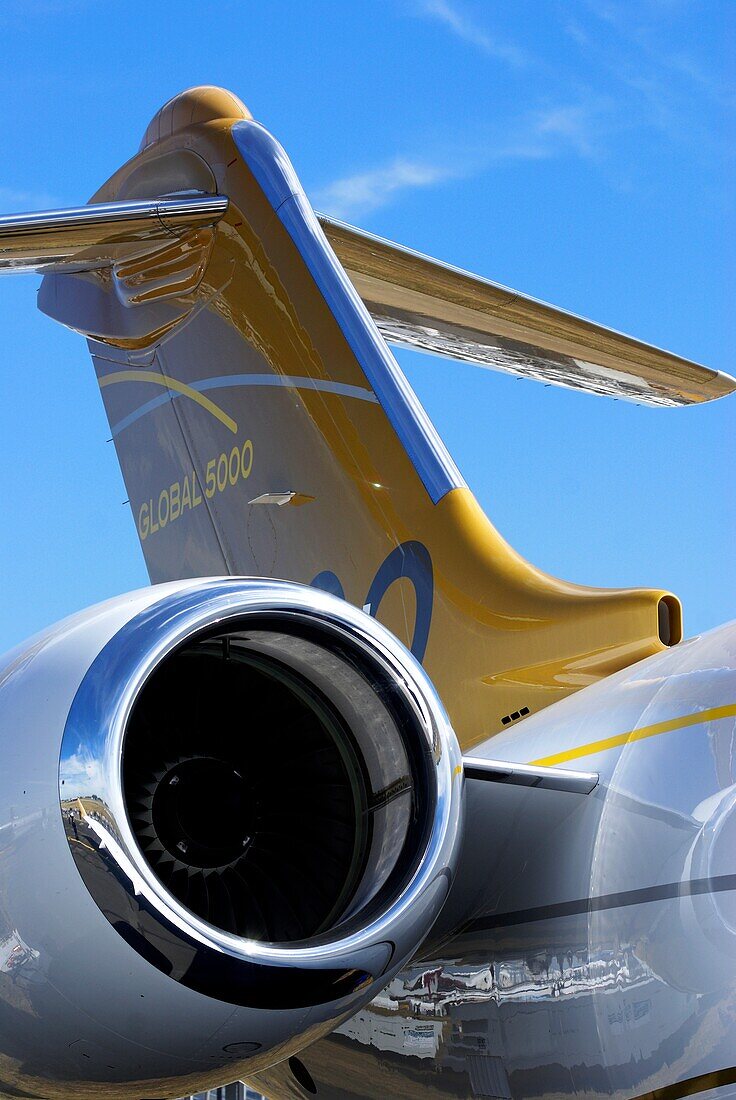 Aircraft tail and engine