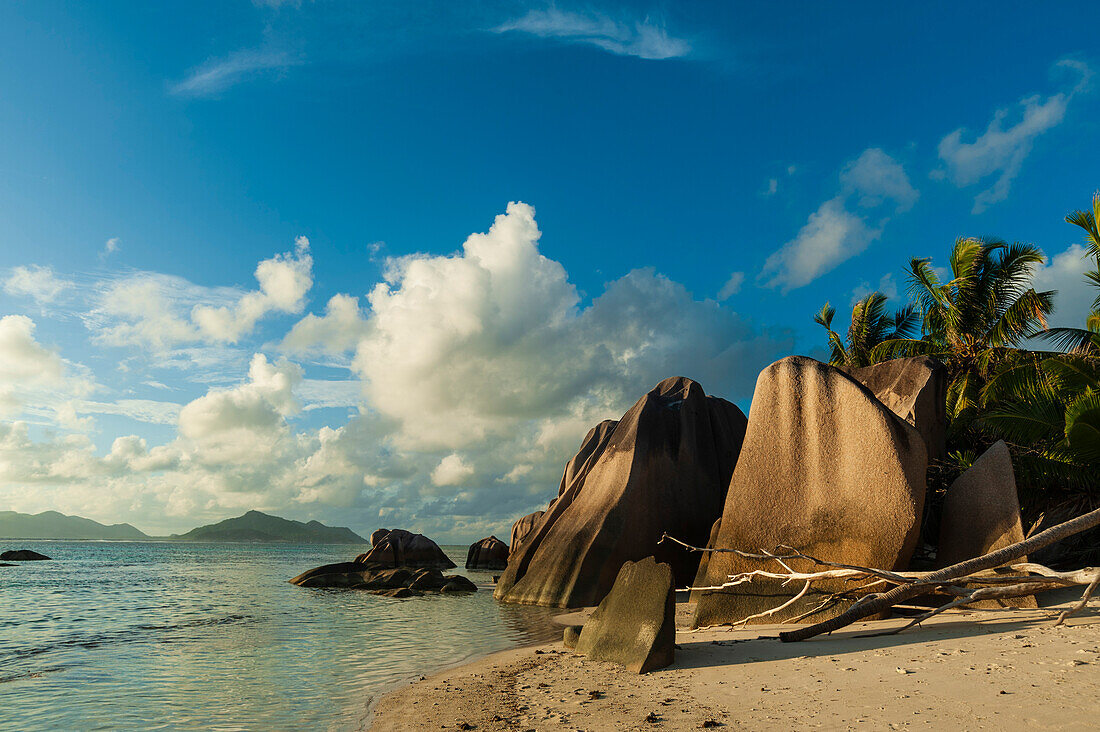 Sandy tropical beach