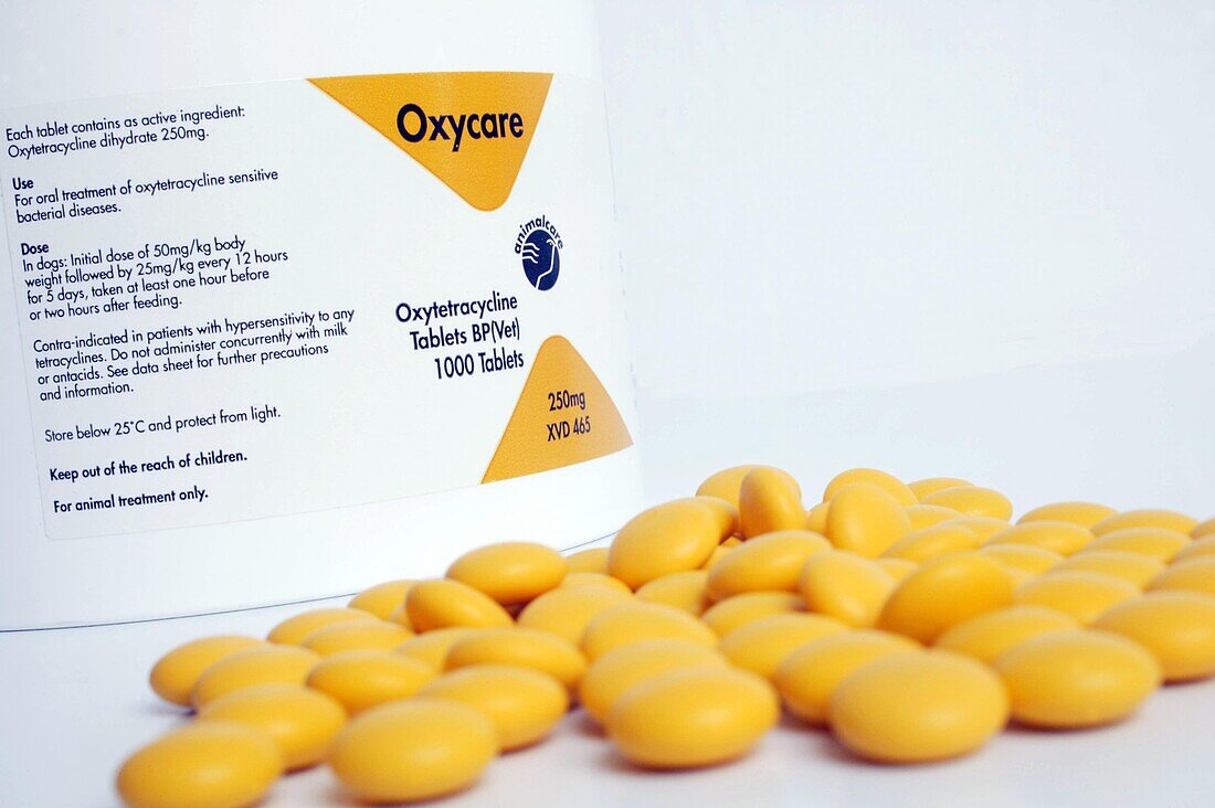 Oxytetracycline antibiotic tablets