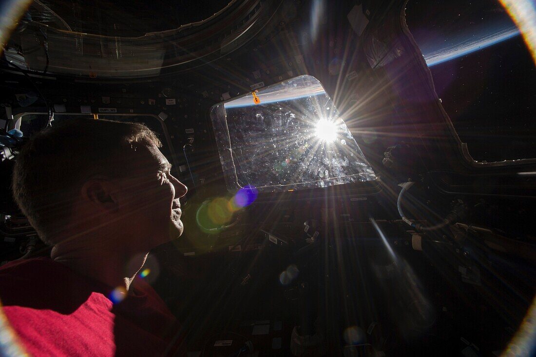 Astronaut looking through the cupola window on the ISS