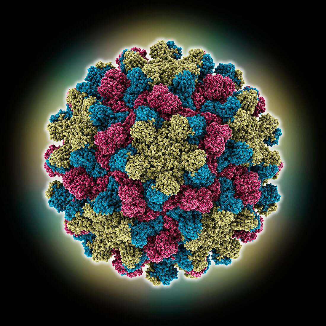 Tomato bushy stunt virus capsid, molecular model