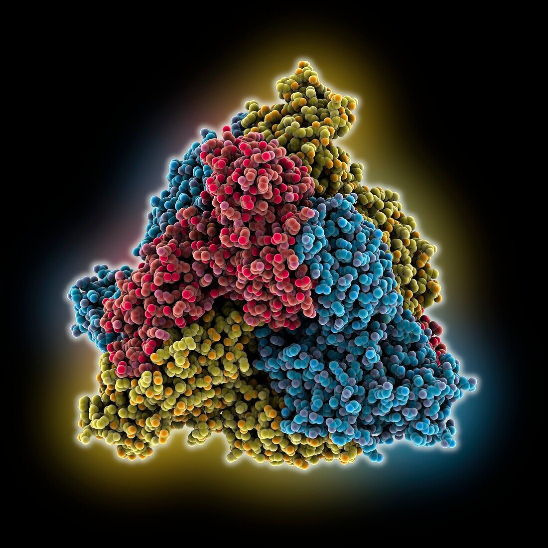 Hybrid arabinose isomerase AI-10, molecular model