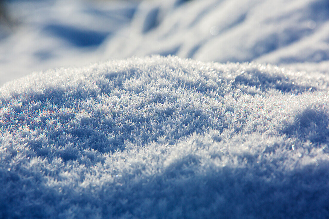Ice crystals on snow covered boulders