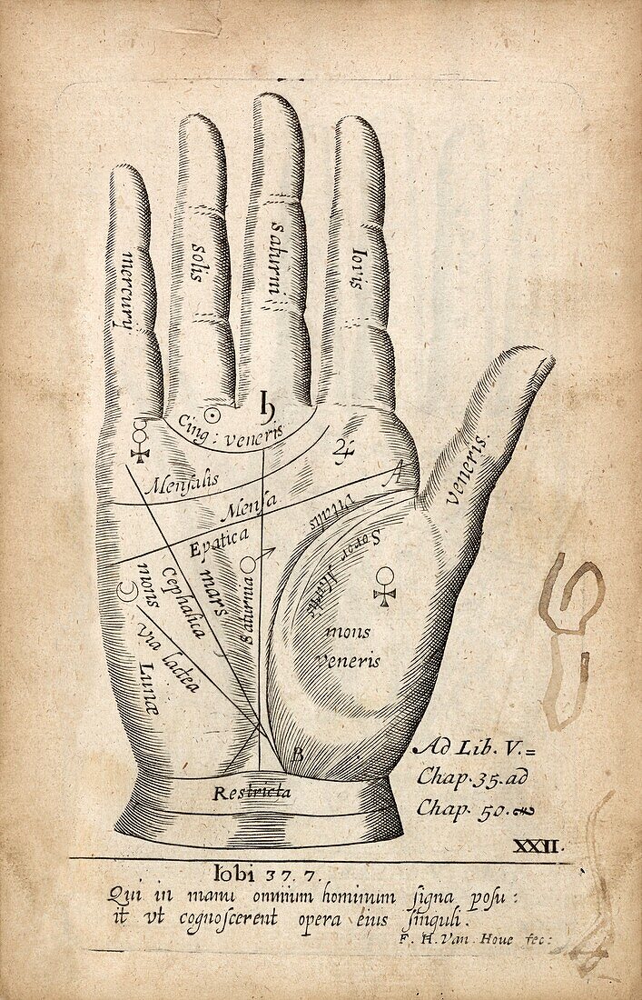 Palmistry chart of the right hand, illustration