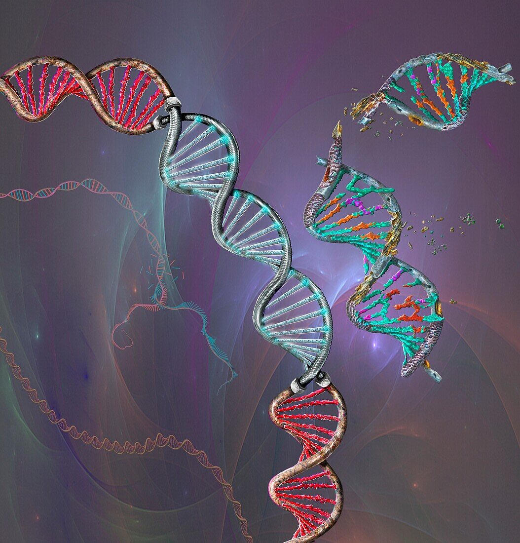 Genetic repair, conceptual illustration