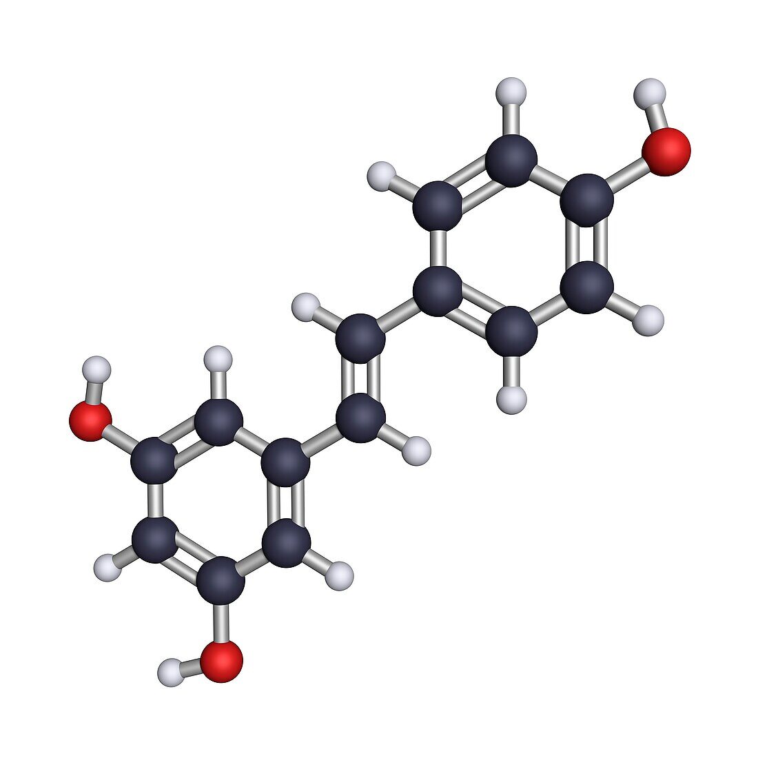 Resveratrol, molecular model