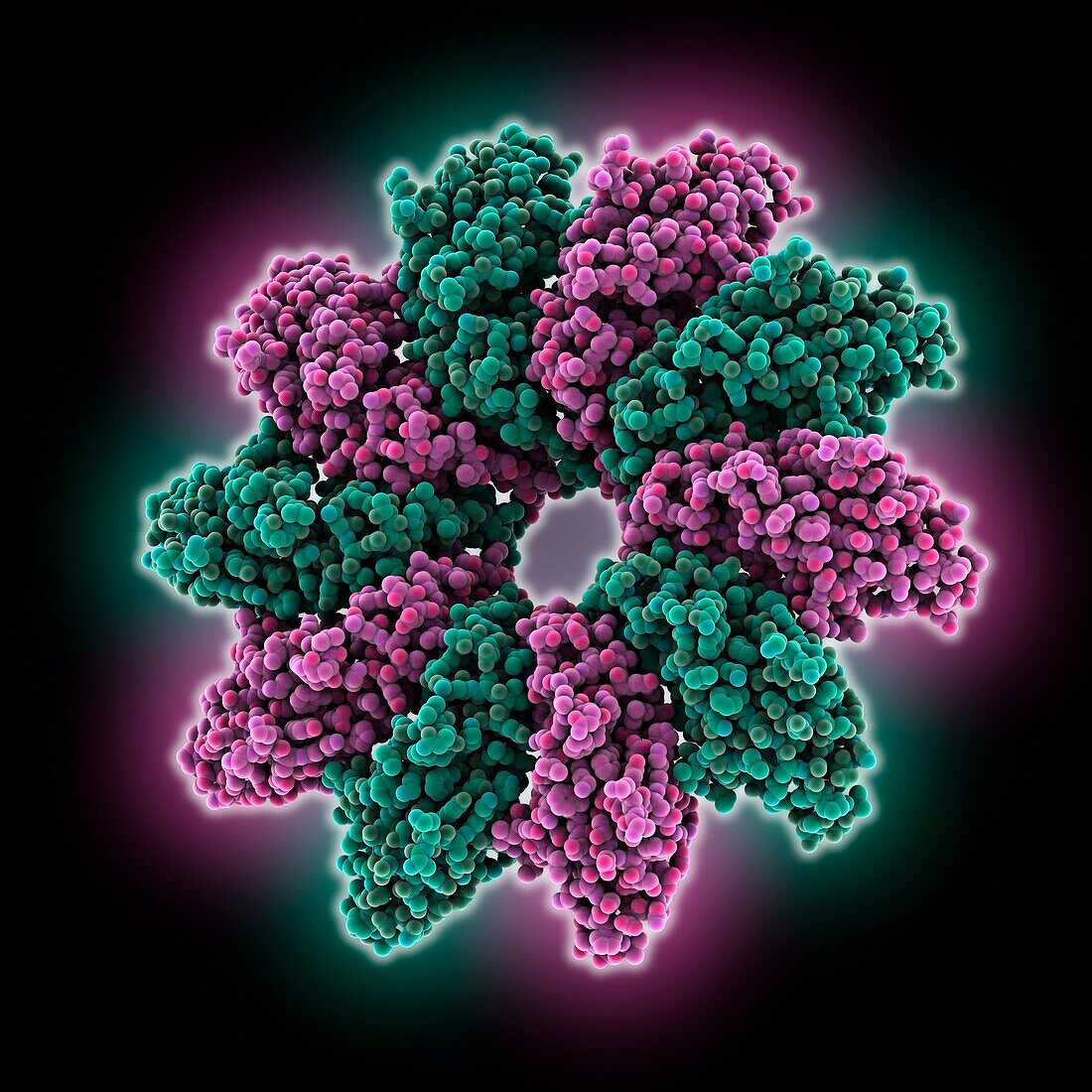 Yeast Seipin with locking helix detection, molecular model