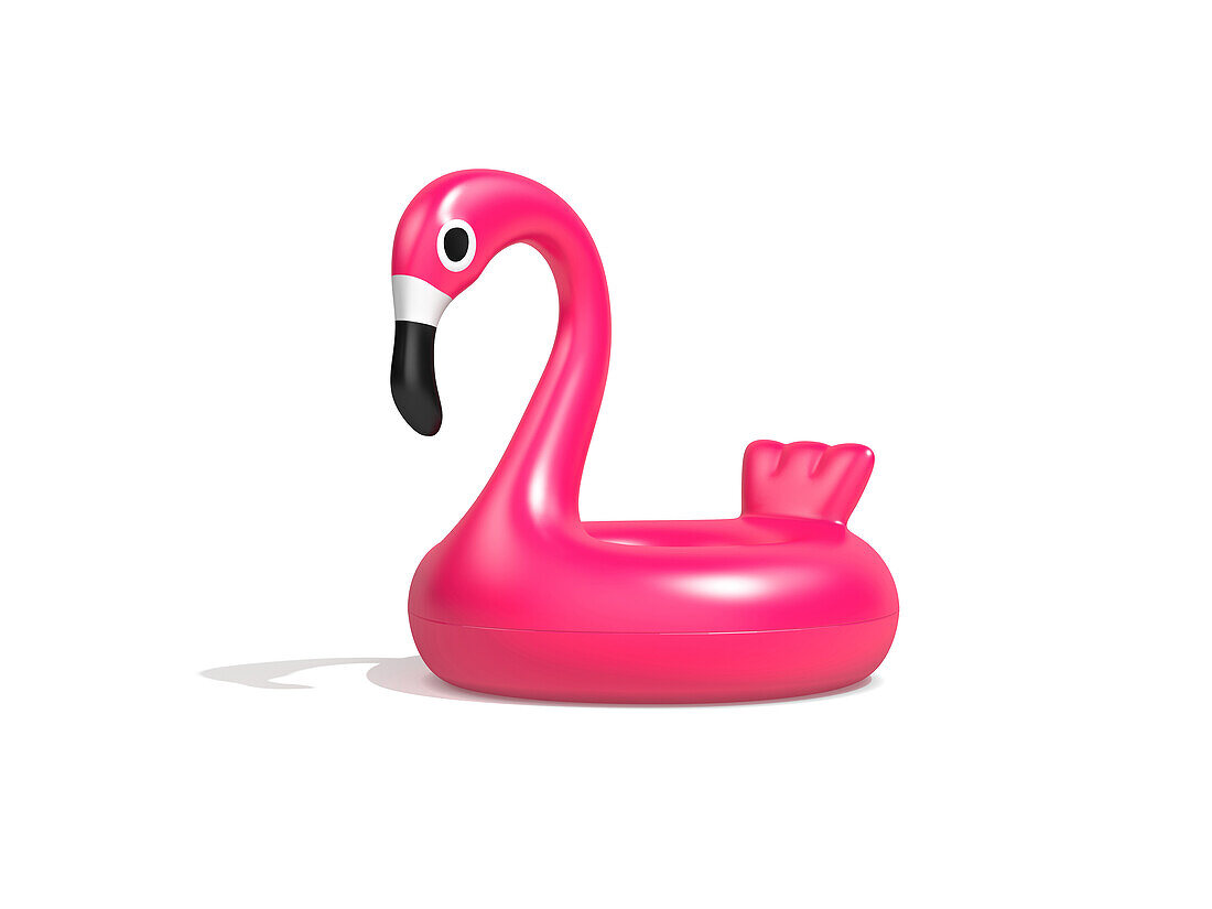 Pink flamingo, illustration