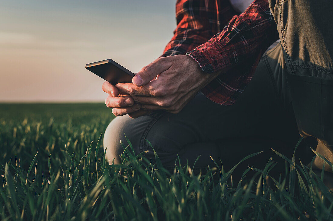 Farmer using smartphone in wheat field