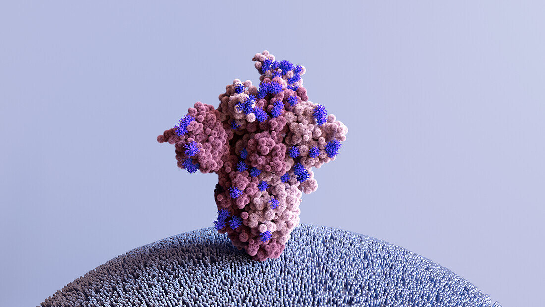 Omicron coronavirus variant spike protein, illustration