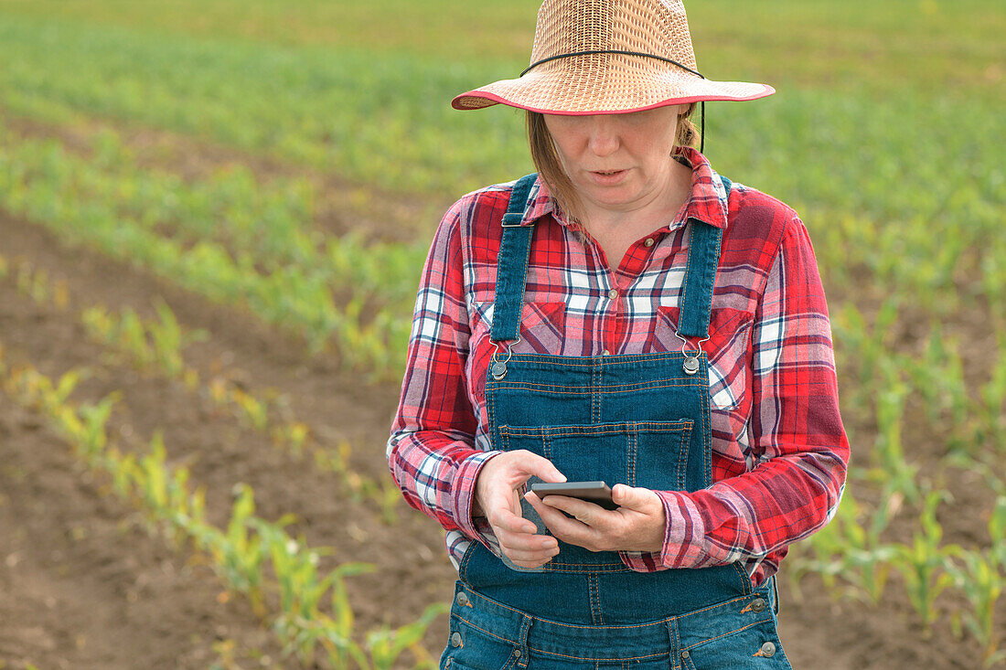 Farmer standing in corn field
