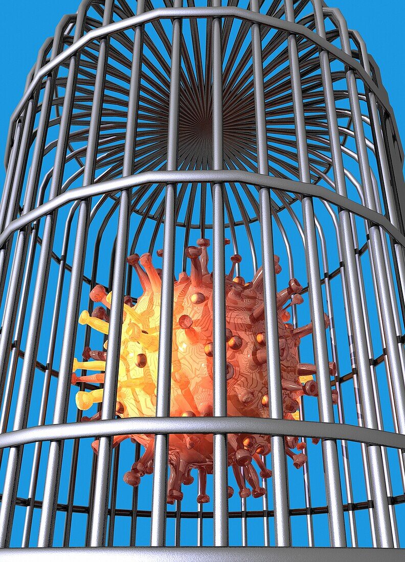 Coronavirus particle in a cage, illustration