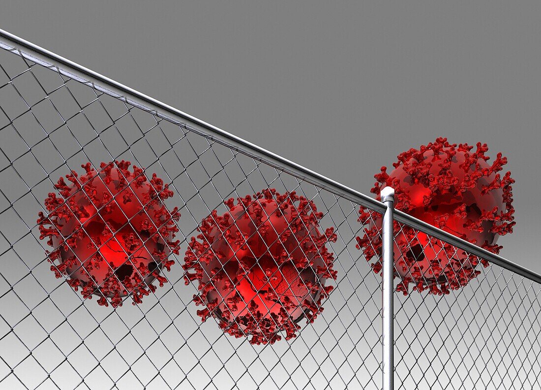 Coronavirus particles behind a fence, illustration