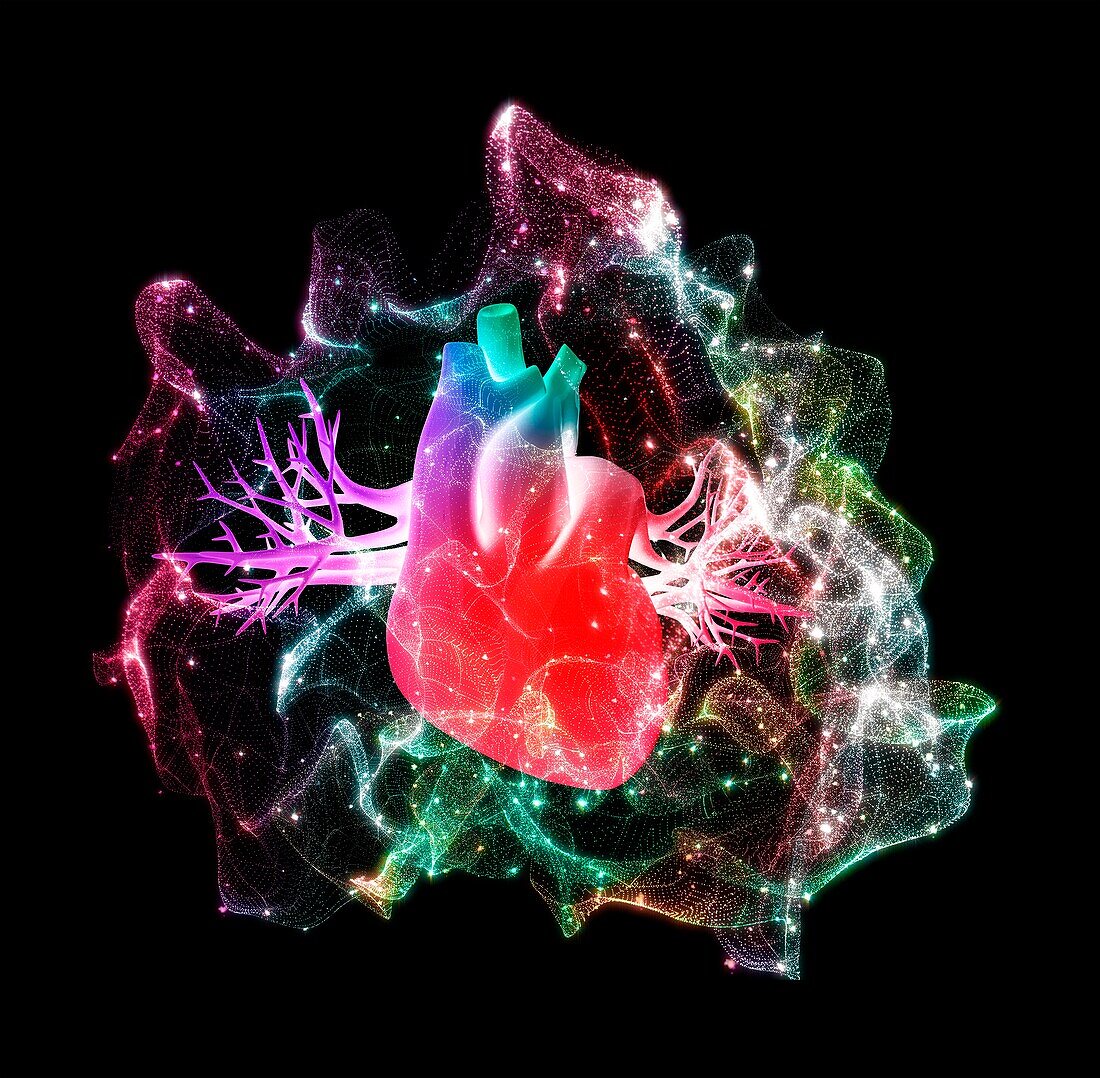 Human heart with energy field, illustration