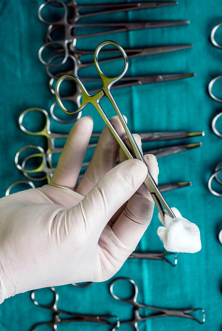 Gloved hand holding surgical forceps and swab