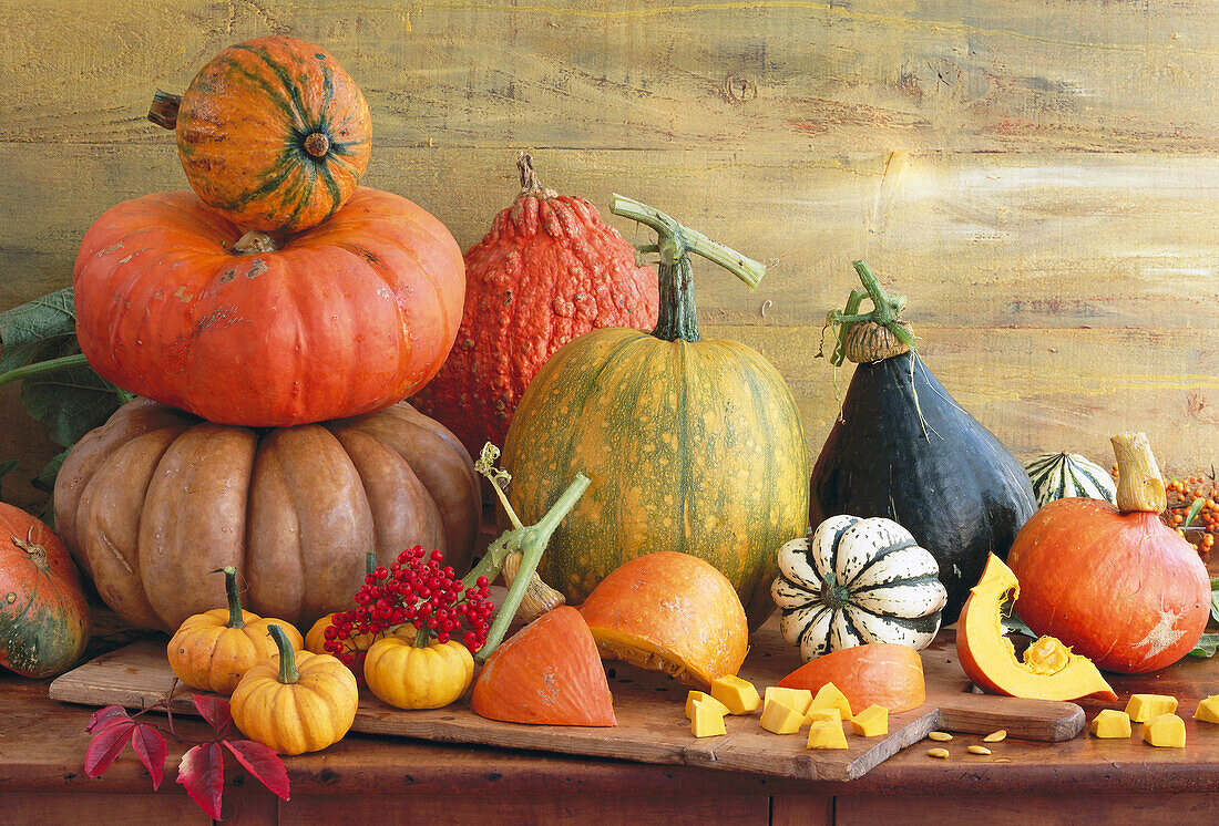 Still life with various pumpkins