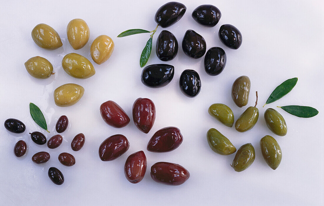 Verschiedene eingelegte Olivensorten