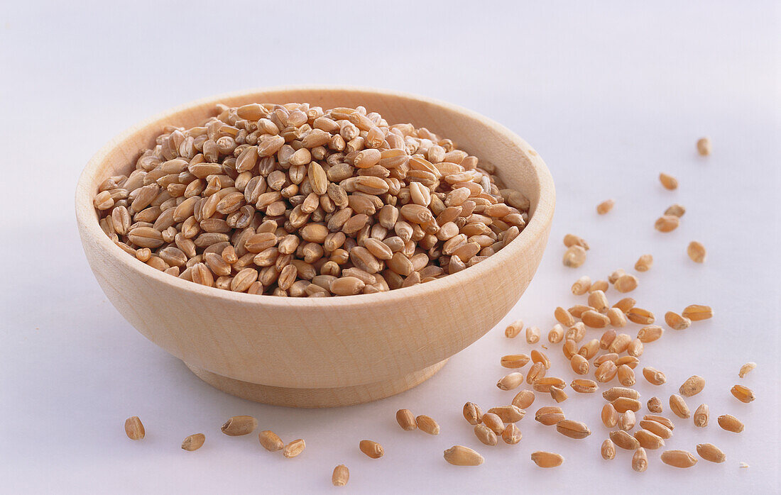 Grains of wheat