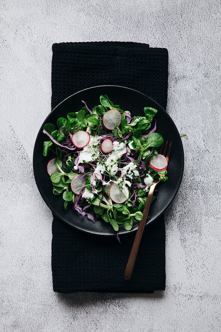 Feldsalat mit Rotkohl, Radieschen und Joghurtdressing