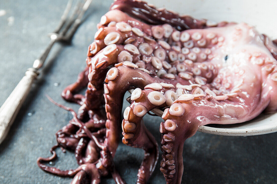 Large fresh octopus close-up, octopus legs hanging from the pan