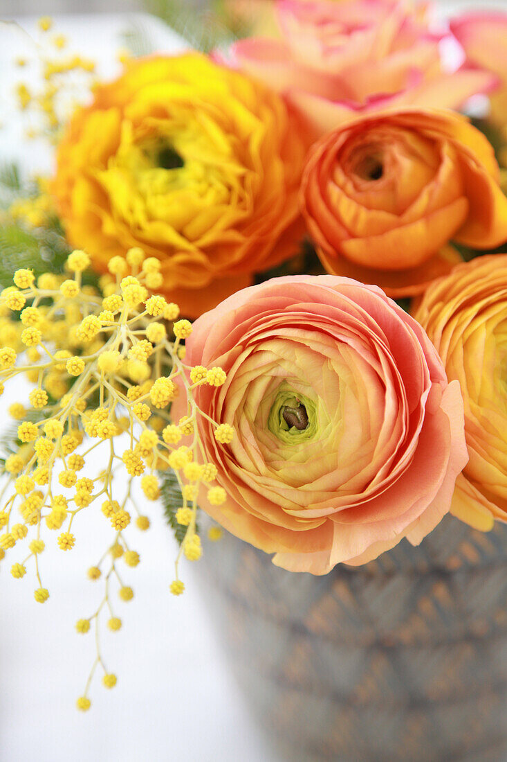 Bouquet of orange ranunculus with mimosa