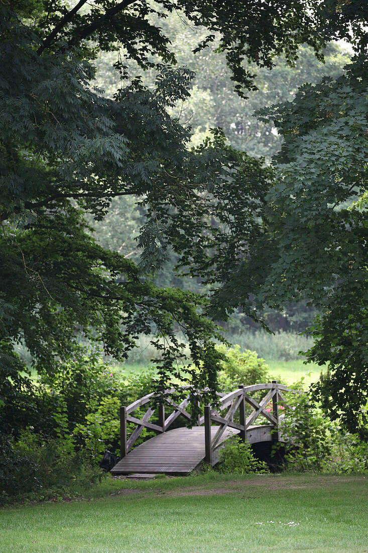 Holzbrücke unter großen Bäumen