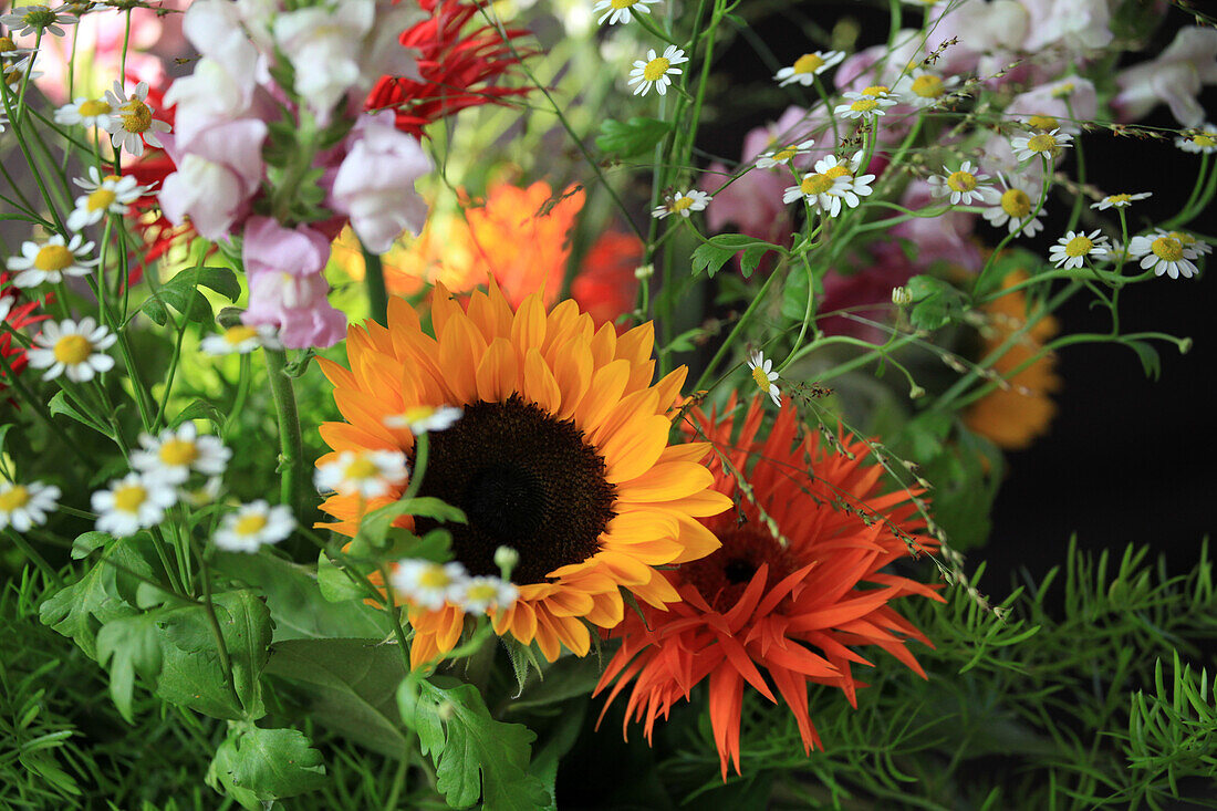 Spätsommerstrauß mit Sonnenblume und Mutterkraut