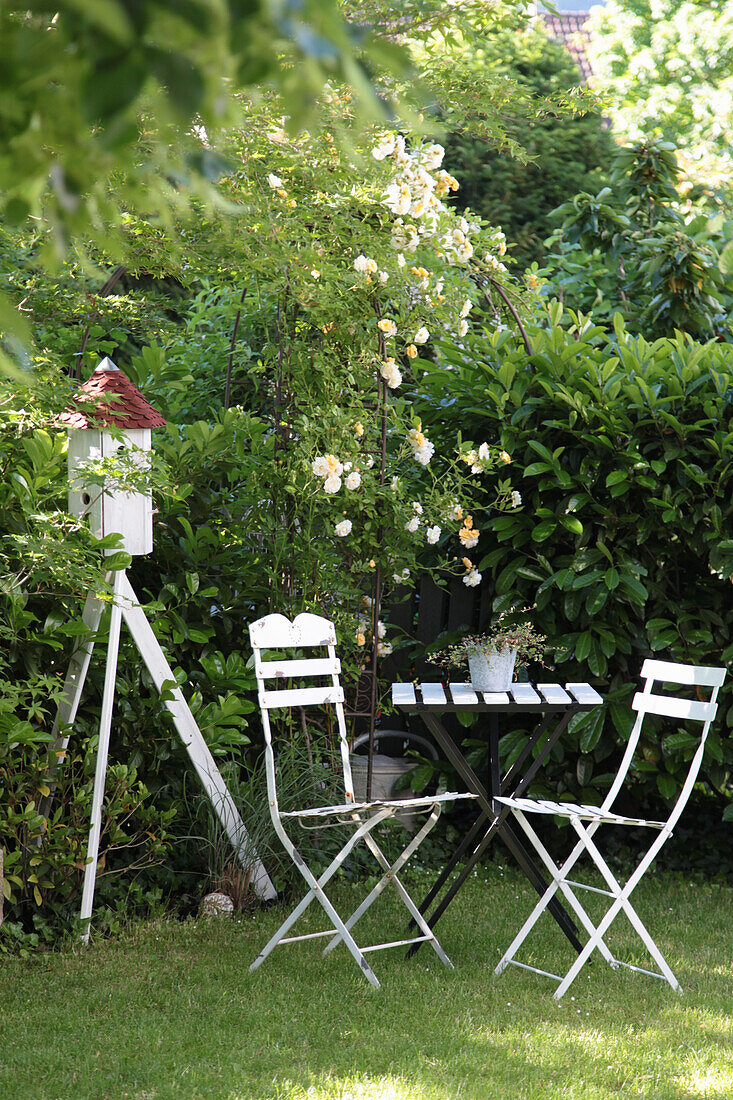 Sitzplatz neben Pavillon mit Kletterrose und Taubenhaus