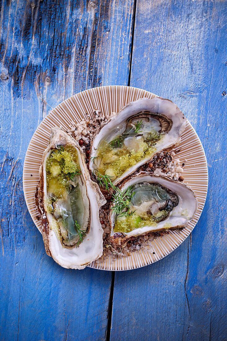 Oysters in jelly