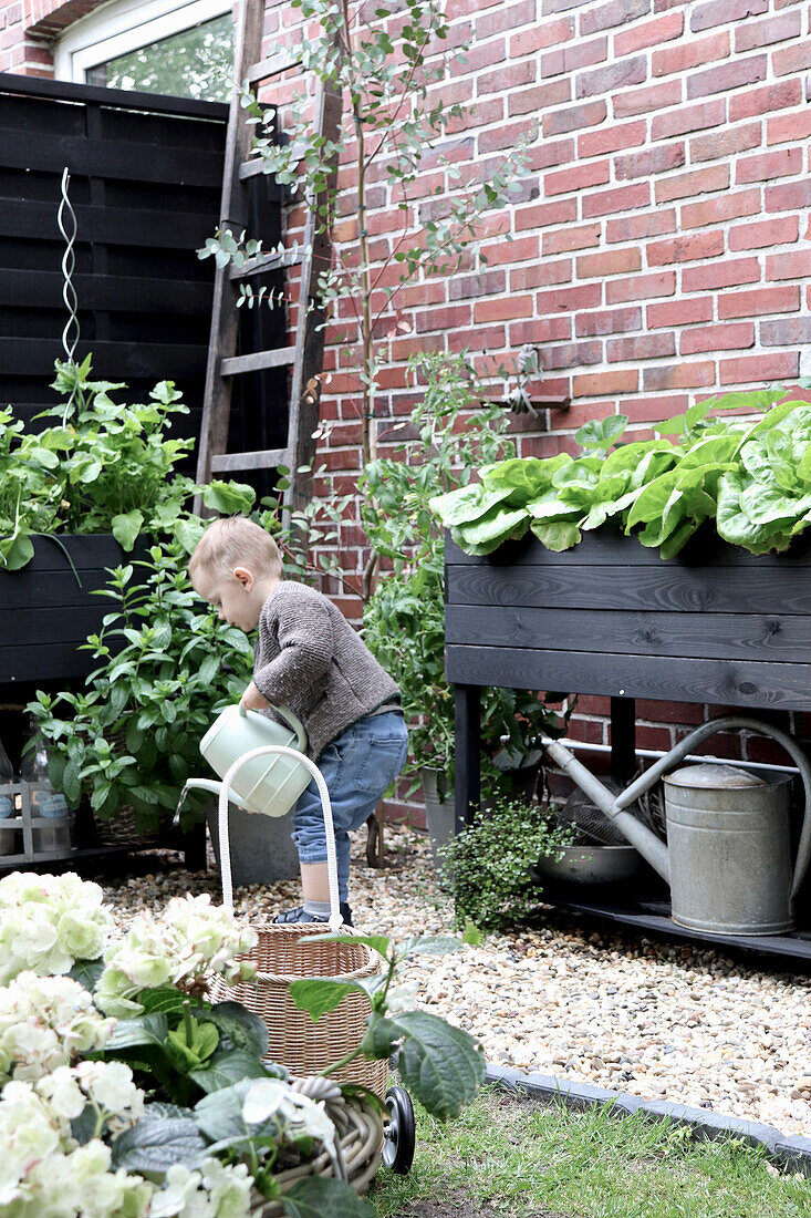 Kind gießt Pflanzen mit Gießkanne im Hinterhofgarten
