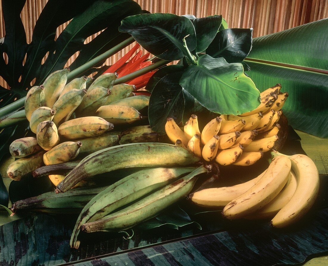 Banana Still Life