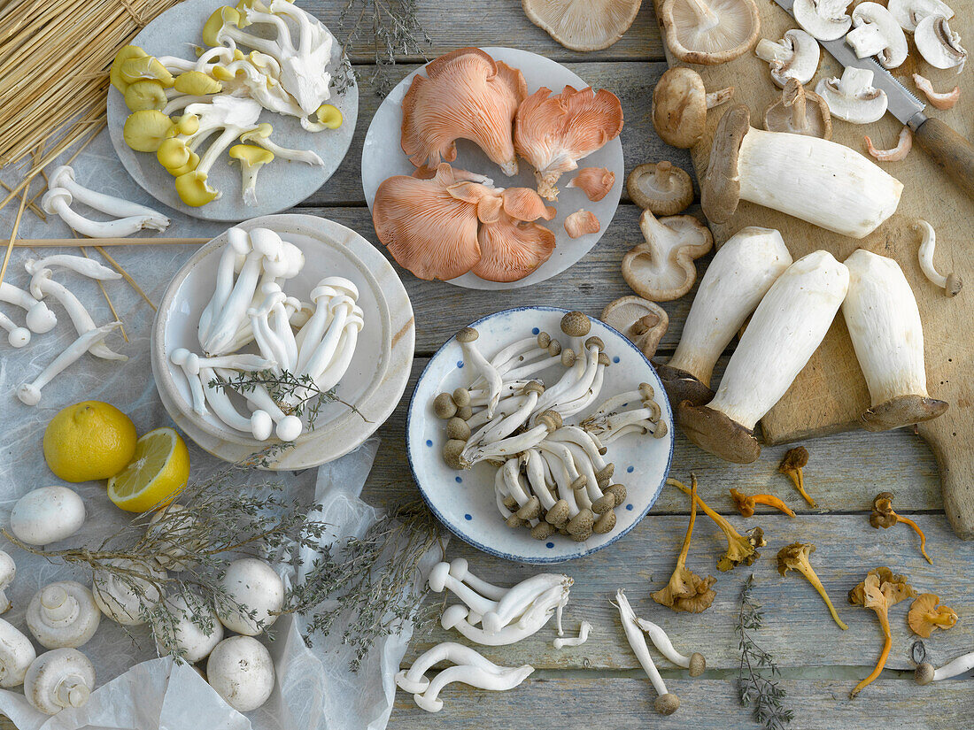 Assorted cultivated mushrooms
