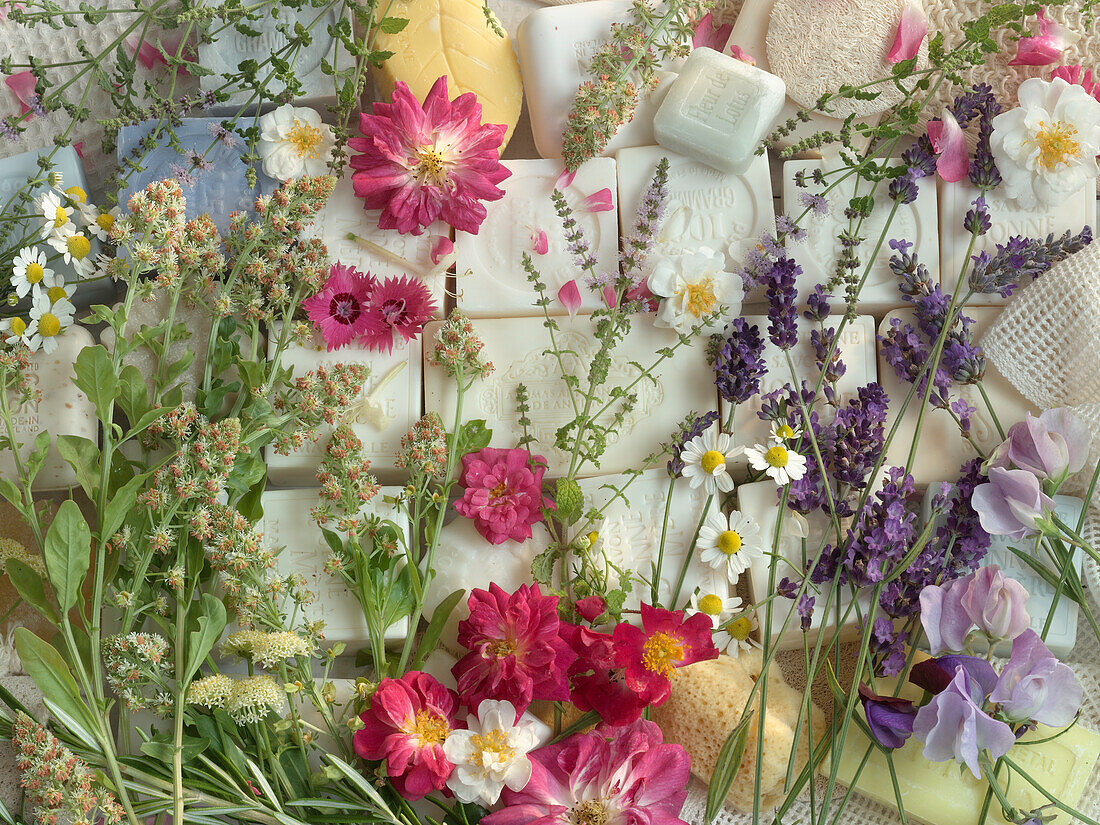 Scented herbs on soaps