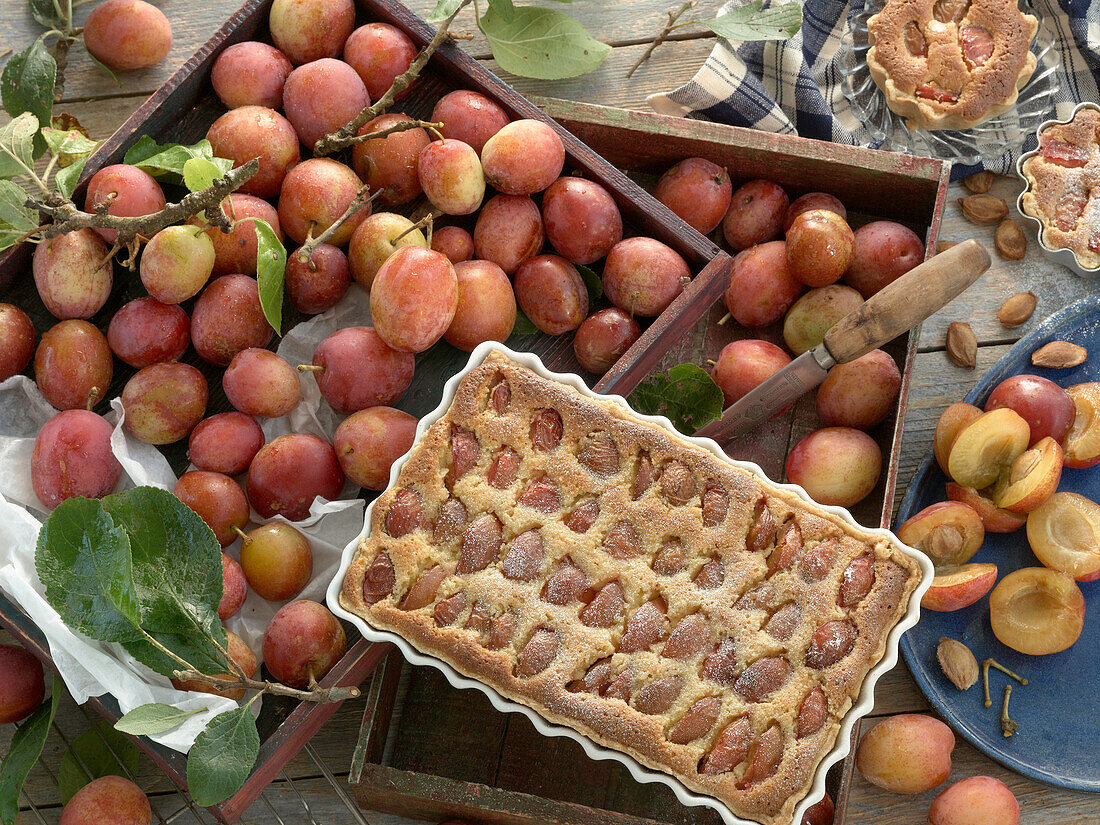 Plum cake with almond cream