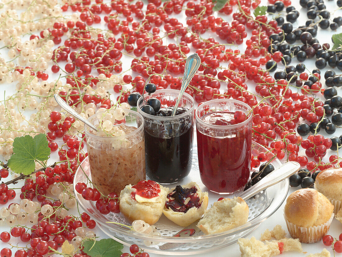 Various redcurrant jams with brioche