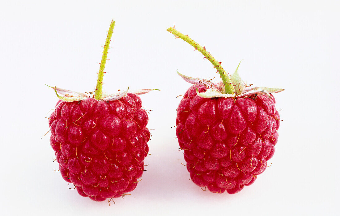 Two raspberries on a white background