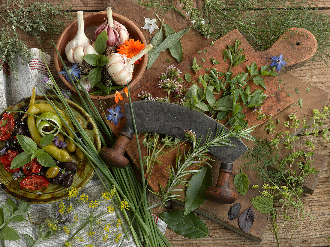 Still life with various herbs and a mincing cradle knife