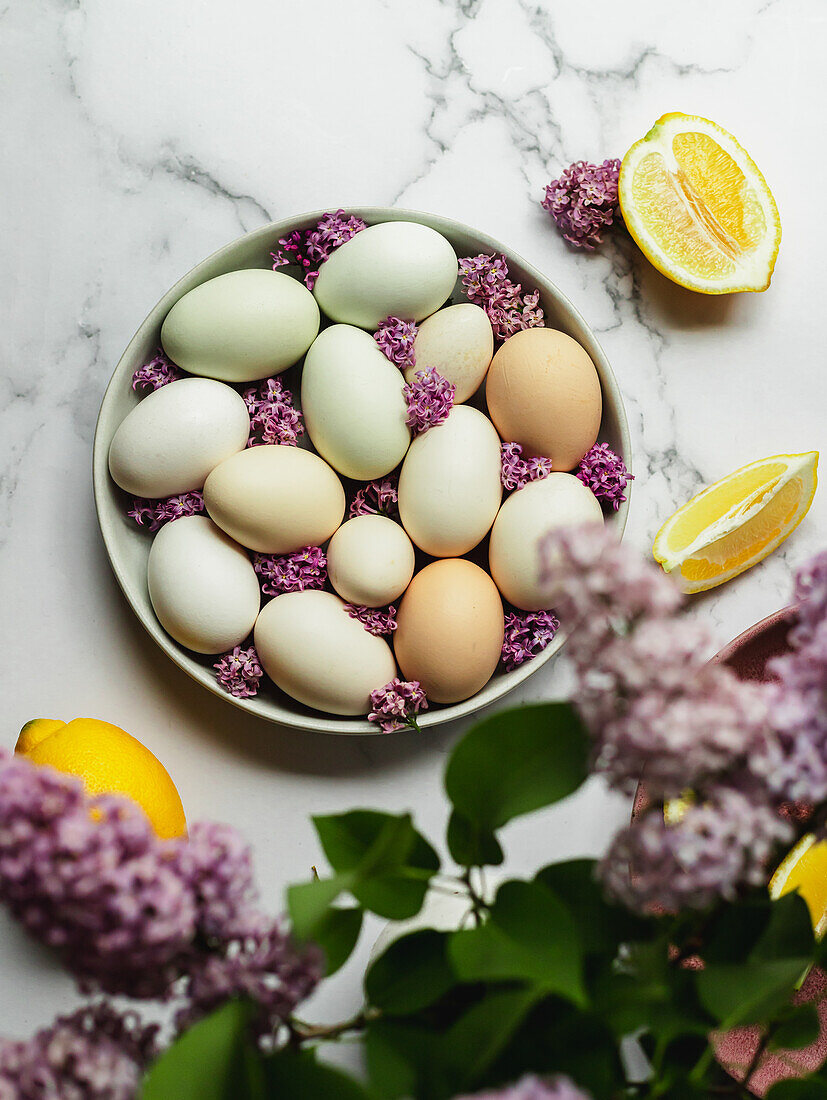 Chicken eggs on plate among blooming Lavandula flowers and fresh lemon slices
