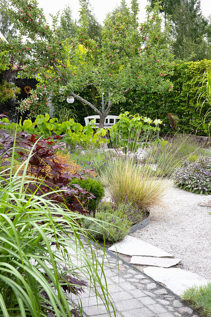 Winding gravel path through well-tended ornamental garden