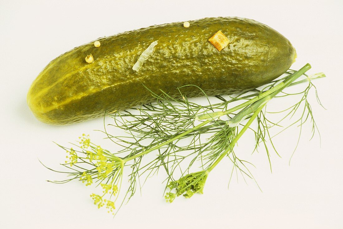 A pickled gherkin with dill