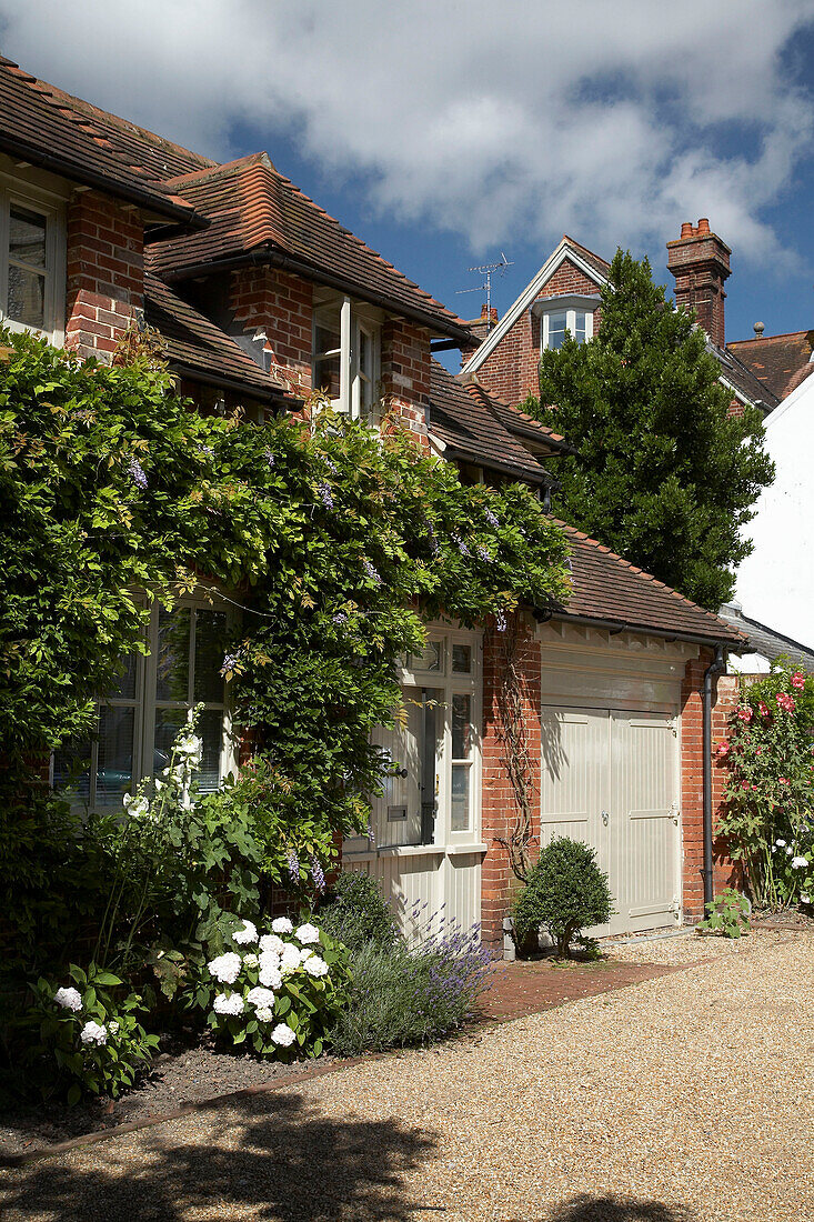 Kletterpflanze an der Fassade eines Neubaus in Arundel, West Sussex