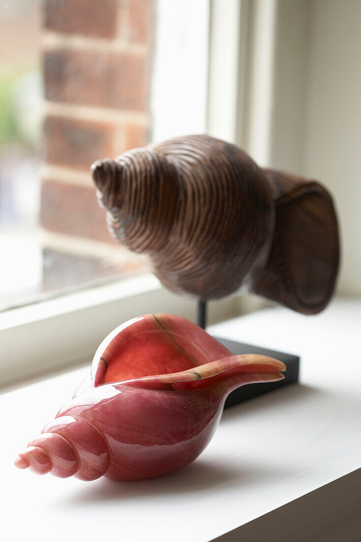 Seashells on windowsill of Arundel home, West Sussex